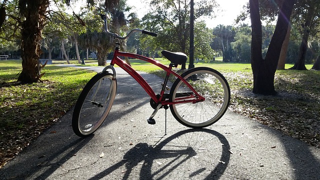 Beach Bike